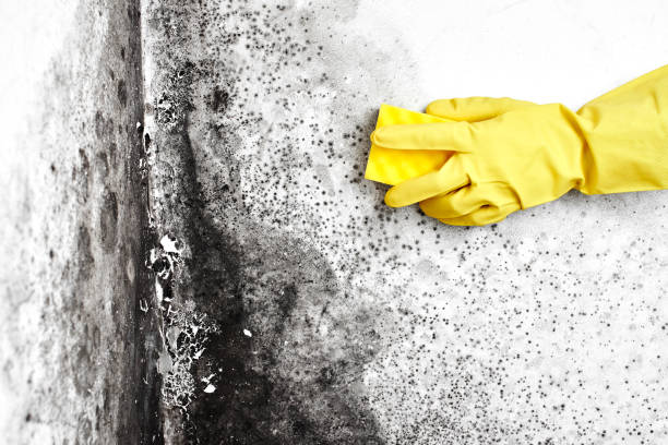 Water Damage Restoration in Clayton, NJ
