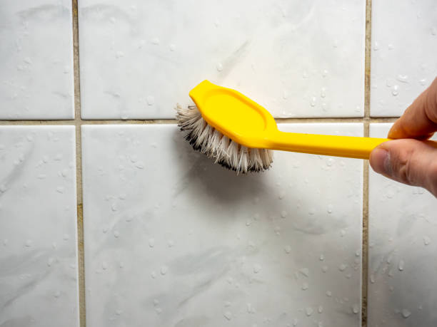 Best Mold Remediation Services  in Clayton, NJ