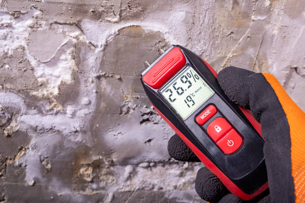 Best Mold Testing  in Clayton, NJ