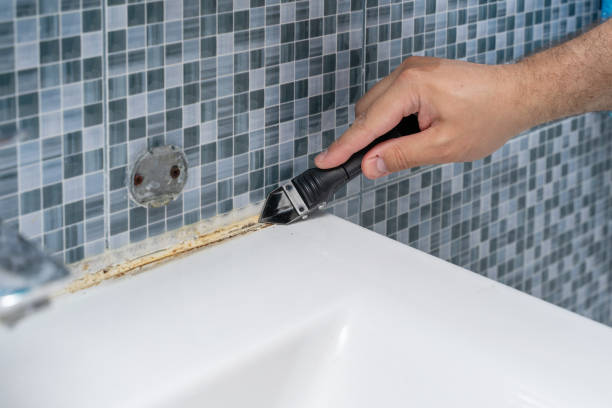 Best Attic Mold Removal  in Clayton, NJ