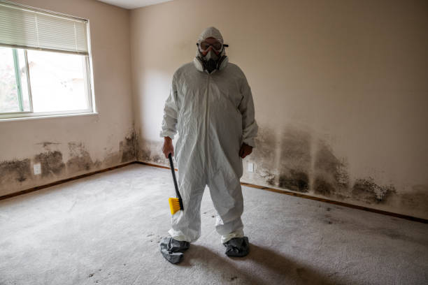 Best Commercial Mold Removal  in Clayton, NJ